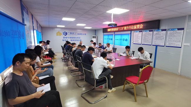 分公司党支部书记、副总经理胡海云深入牛湾岛项目宣贯《“三力”提升行动》；菩奘 摄修图）.jpg